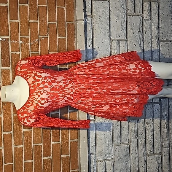 Sz4 Free People Red Floral Embroidered Mesh Dress - Picture 2 of 12